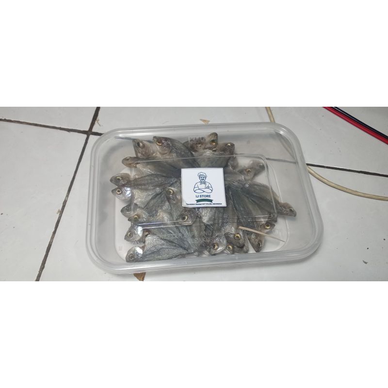 

COD ikan asin sapat bintang berkepala 500 gram produksi HST KALSEL