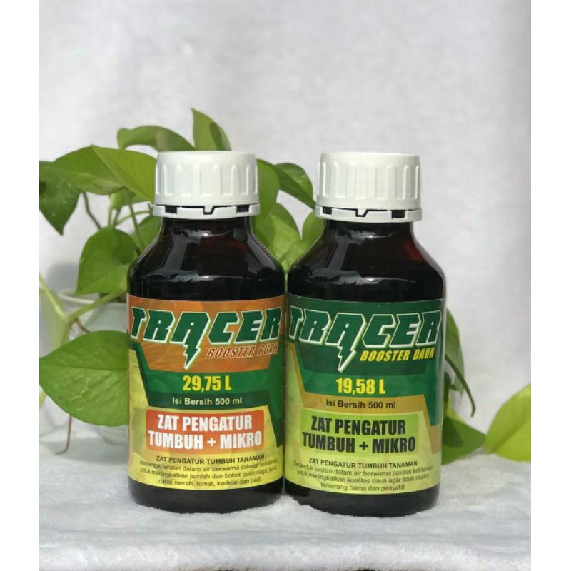 Trazcer Pupuk Buah dan Daun