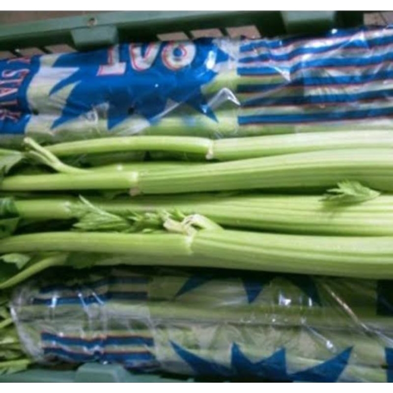 

saledri / celery stick 500grm