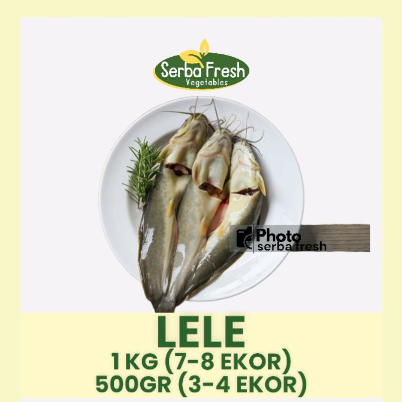 

LELE | 500GR & 1KG | SERBA FRESH