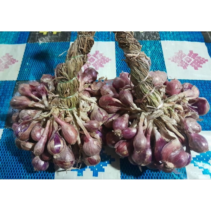 

Bawang Merah 1 kg / 2 ikat