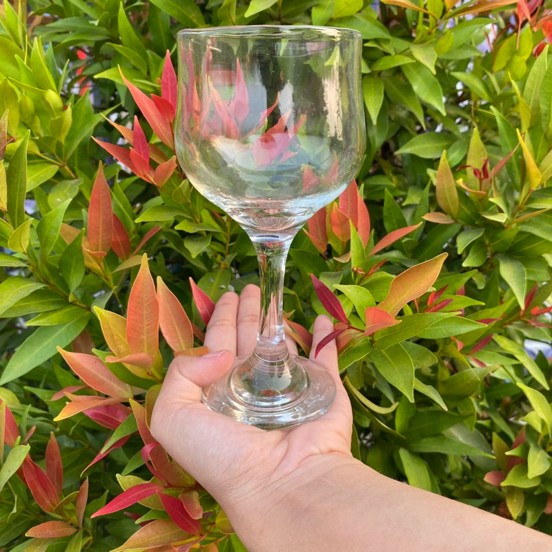 GELAS KAKI KACA/GELAS ANGGUR 200ML