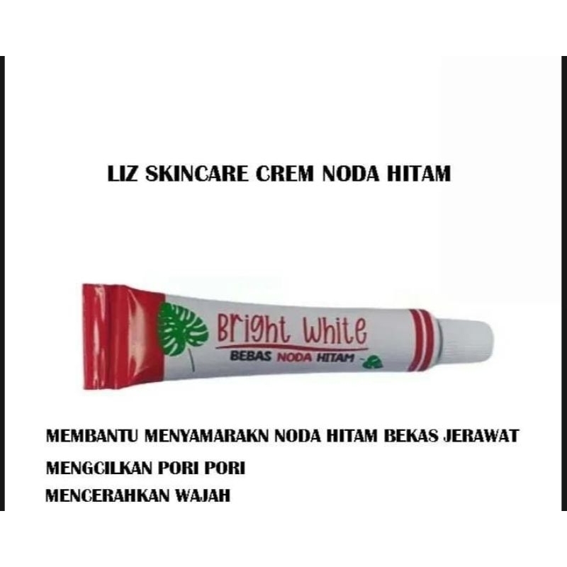 Liz Skincare SALEP FLEK BRIGHT WHITE CREAM / SALEP FLEK MERAH LIS SKINCARE