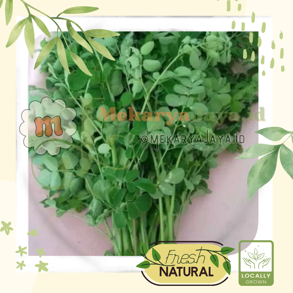 

[MJ-Fresh]- Daun Kelor / Daun Merunggai Fresh Segar