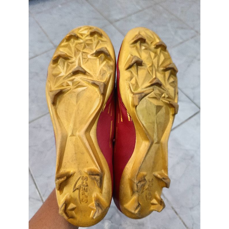 specs reborn maroon fg