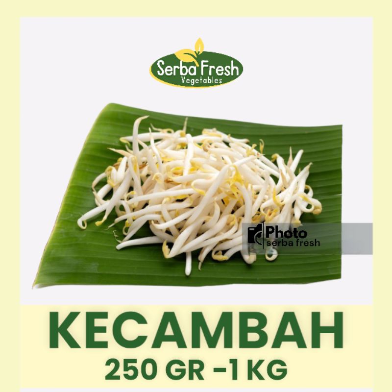 

KECAMBAH | 250GR, 500GR & 1KG| SERBA FRESH | CAMBAH | TAUGE