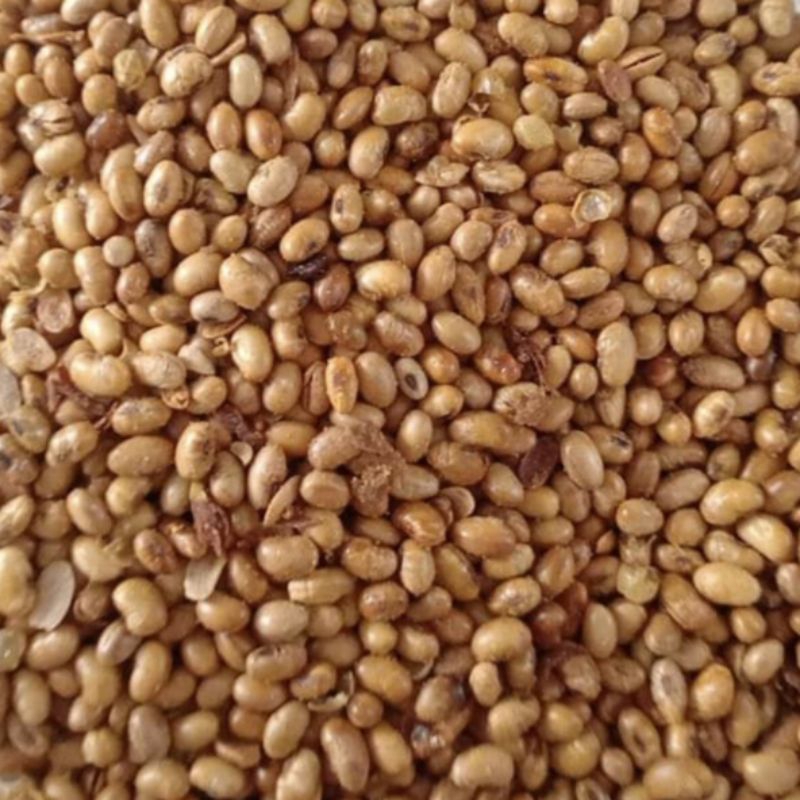 

KEDELAI GORENG SUPER 1KG