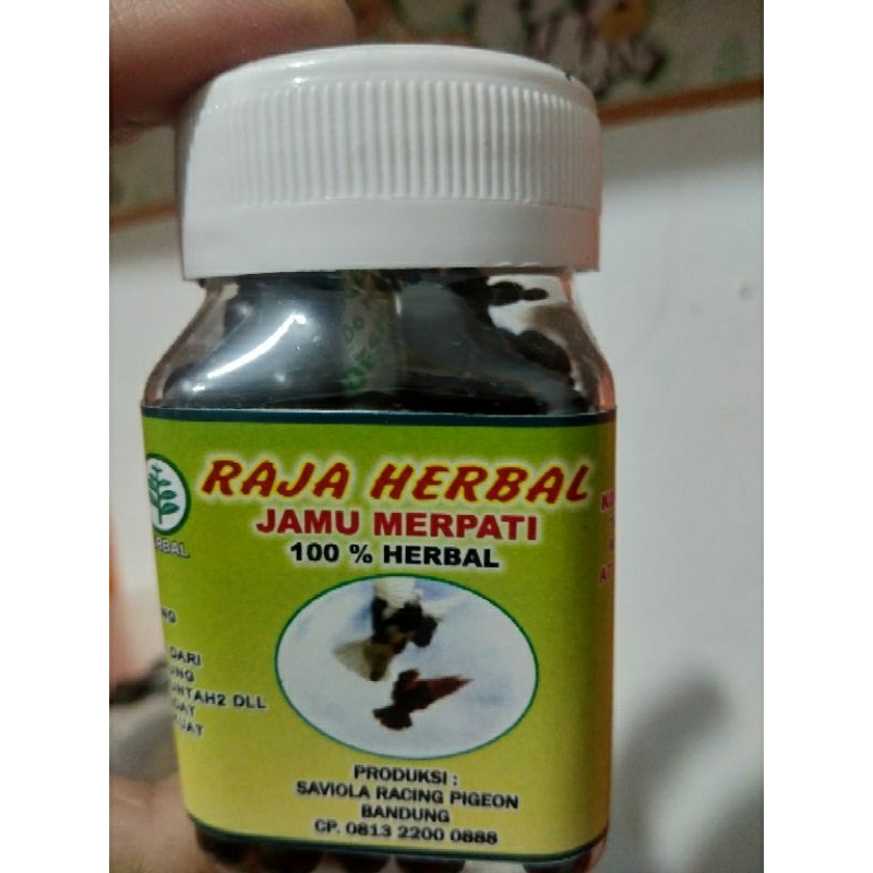 jamu merpati RAJA HERBAL