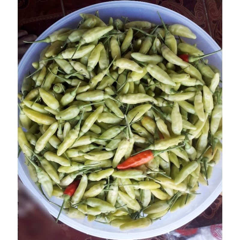 

CABE SETAN FRESH/CABAI SEGAR 100gr