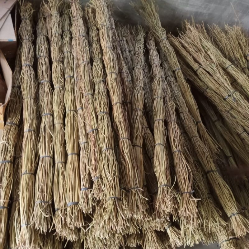 akar manon 100 batang /akar manon 1 ikat / akar manon dekorasi