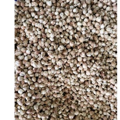 

kapolaga super , kwalitas terjamin dan higienis