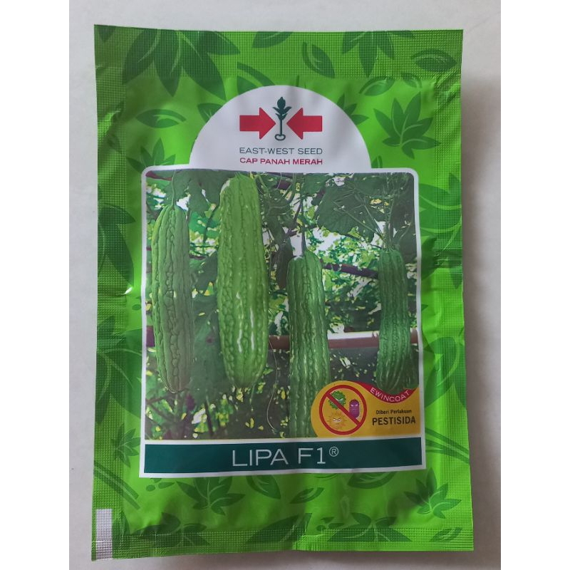 

pare lipa isi 100 butir