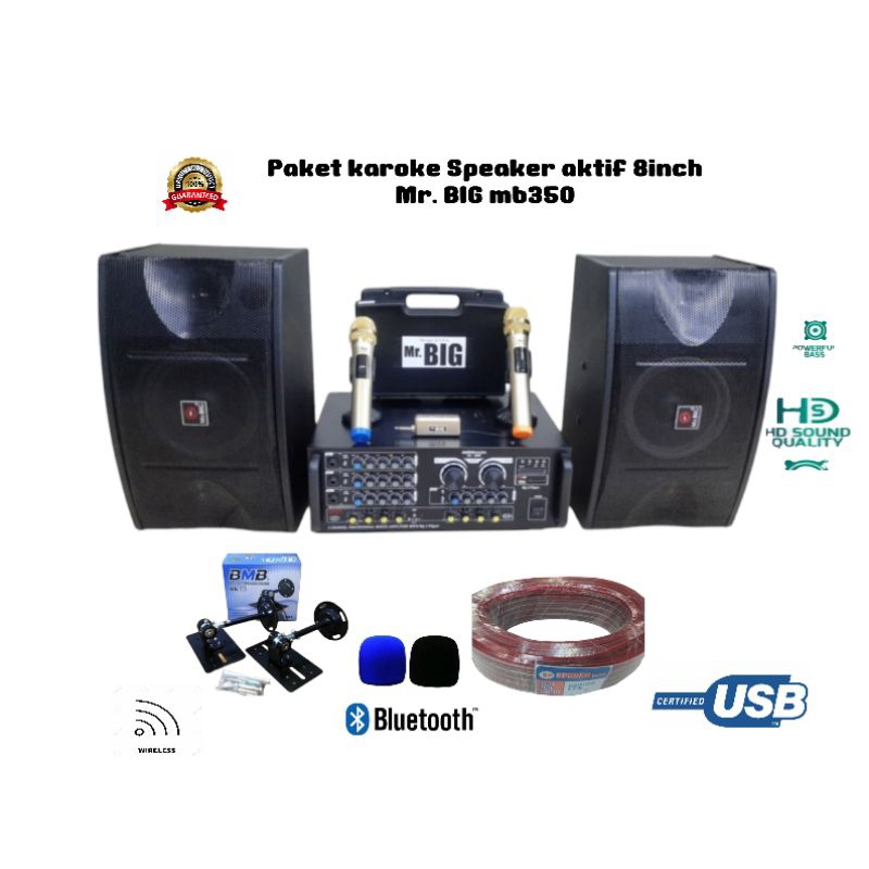 Paket karoke Speaker pasif Mr. BIG mb350