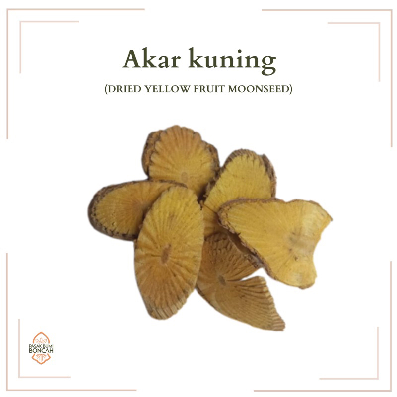 

500gr | BAJAKAH AKAR KUNING | Dried Yellow Fruit Moonseed | Arcangelisia Flava