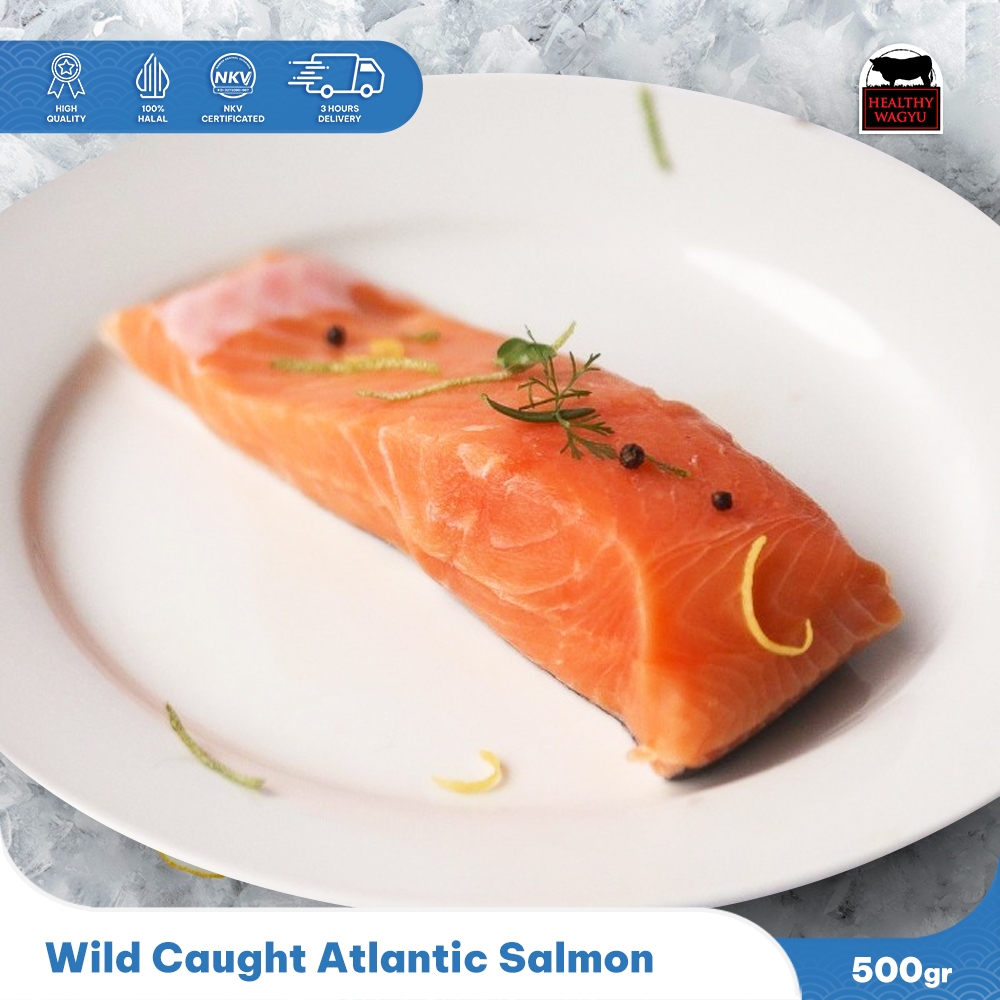 

Wild Caught Atlantic Salmon Premium - Ikan Salmon Atlantic 470-500 Gram Healthy wagyu