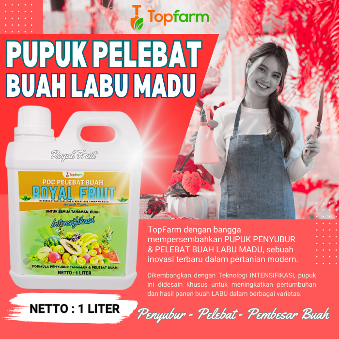 Pupuk Labu Kuning / Pupuk Booster Labu Kuning / Pupuk Tanaman Labu Kuning / Obat Pupuk Tanaman Labu 