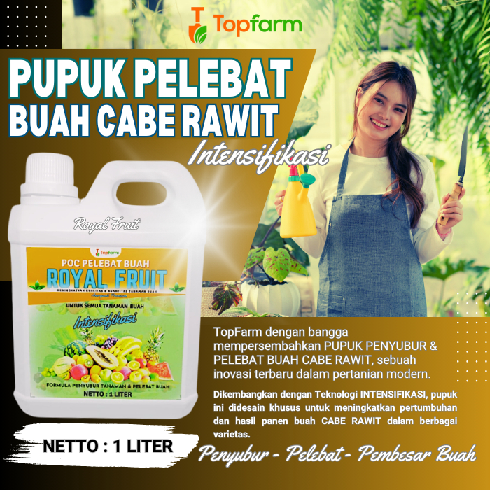 Pupuk Pelebat Buah / Obat Semprot Tanaman Cabe Rawit / Obat Kriting Tanaman Cabe Rawit / Obat Hama T