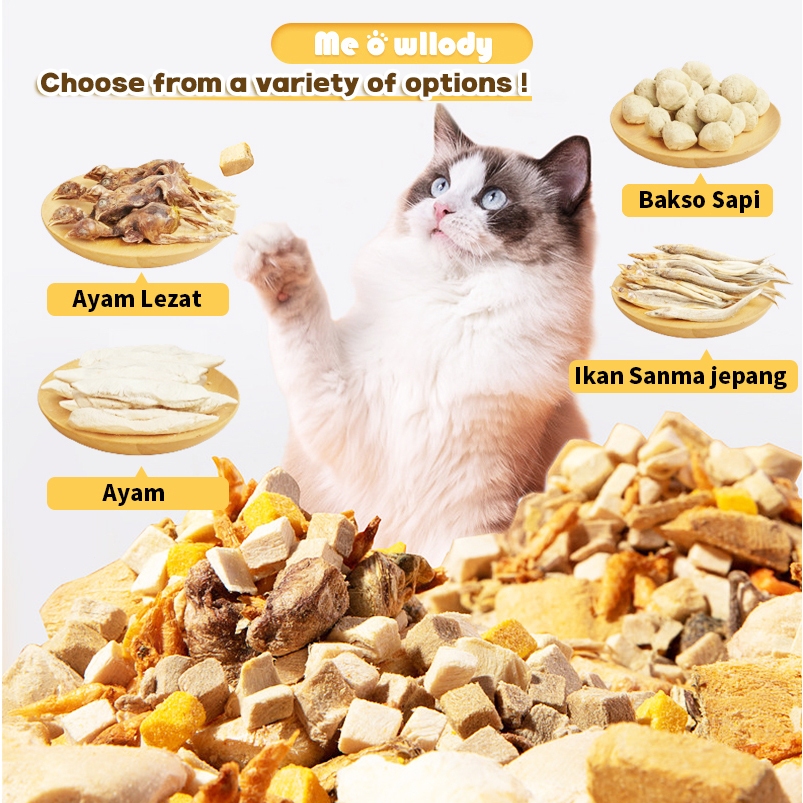Peliharaan snack anjing kucing snack anjing Bekukan Makanan Kering untuk Hewan Peliharaan 100g-200g 