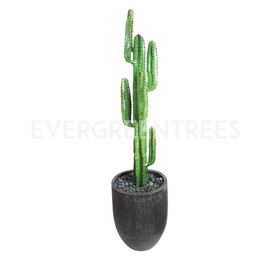 Kurst Cactus Hias / Cactus Palsu / Cactus Import