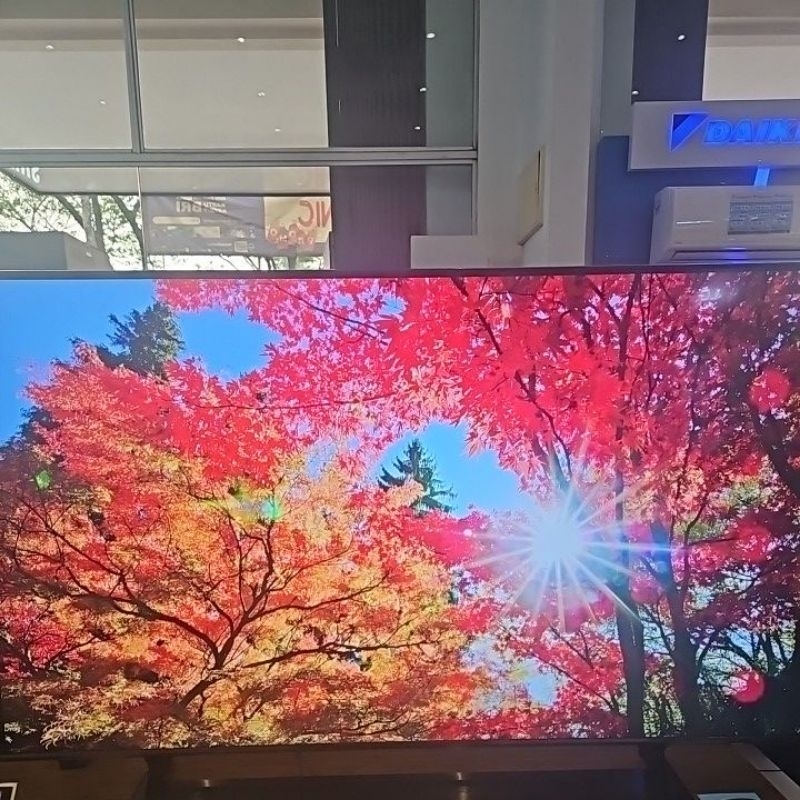 TV SAMSUNG OLED 55" QA55Q60BAK