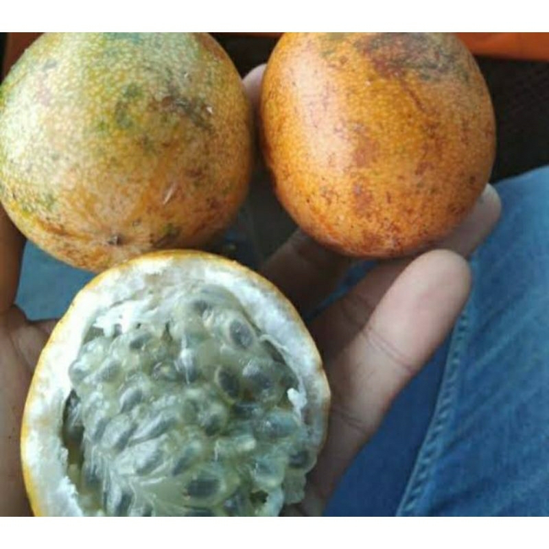 

promo markisah/konyal madu manis 1kg