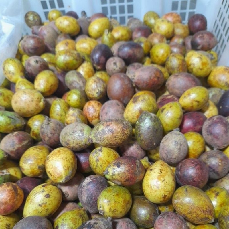 

Buah Matoa