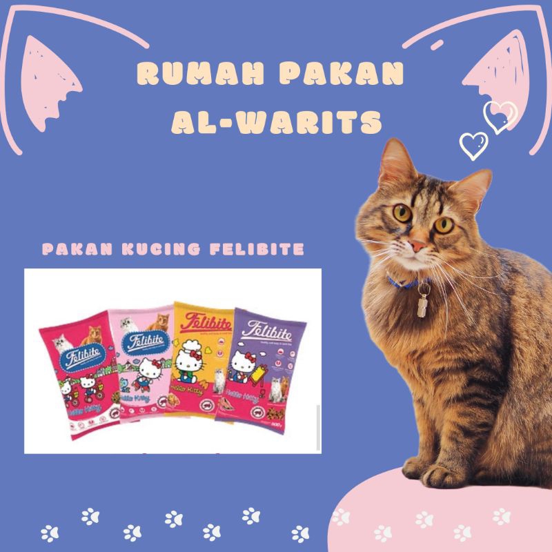 FelibiteMakananKucing