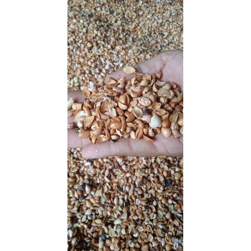 

sortiran kacang sangrai