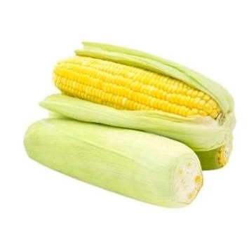 

Jagung manis