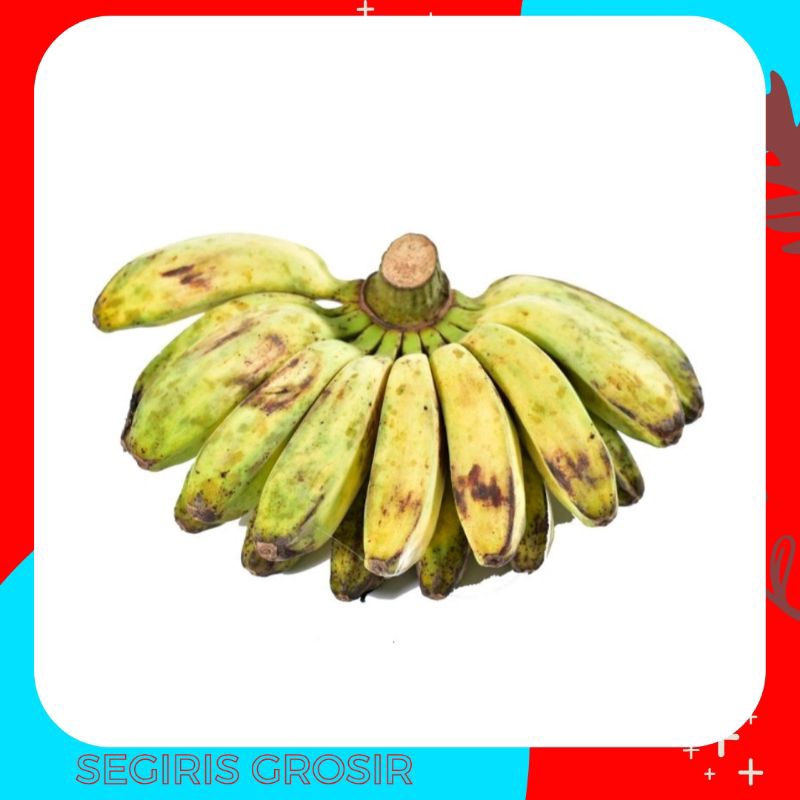 

Buah Pisang kepok sanggar per sisir