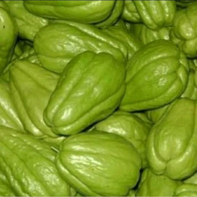 

Labuh Siam / Sayuran Segar 1kg