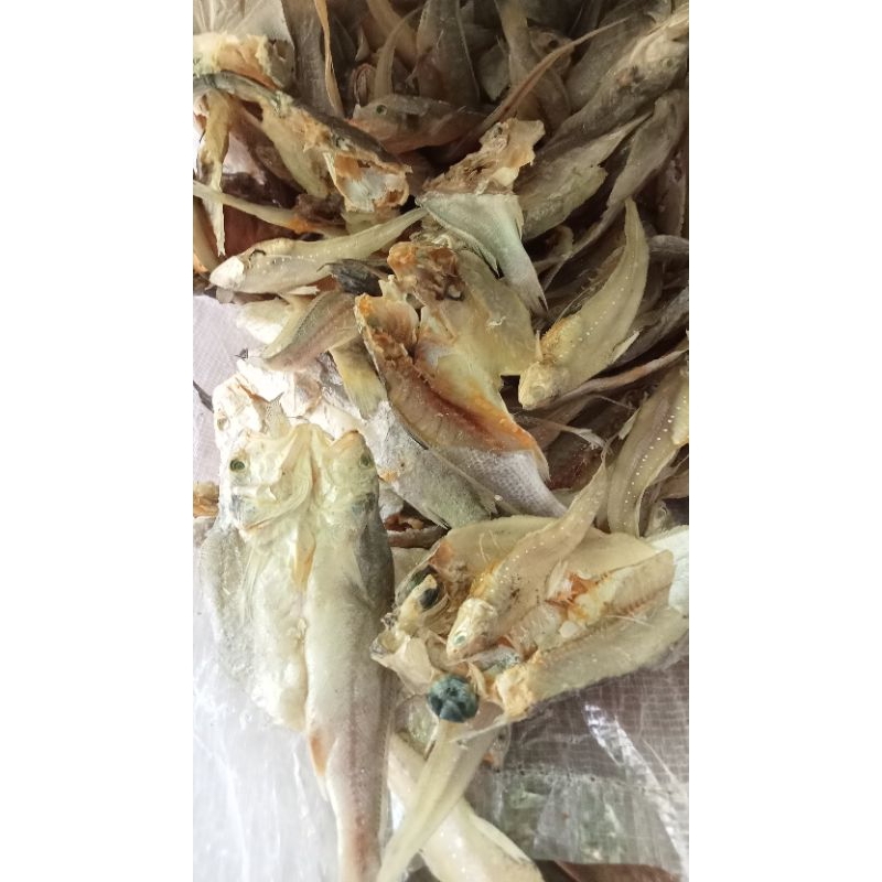 

ikan asin balama cmpur