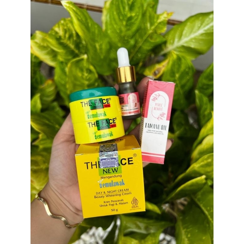 CREAM SIANG MALAM TEMULAWAK+TAMANU OIL