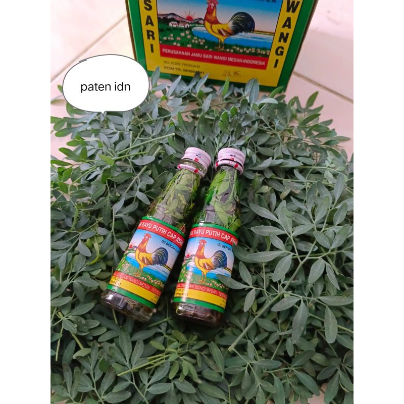 READY STOCK MINYAK KAYU PUTIH CAP AYAM 40ML DENGAN RENDAMAN CAO CAO / DAUN INGGU