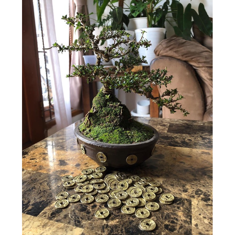 COIN CHINA PELENGKAP ACCESSORIES SANGKAR CUNGKOK