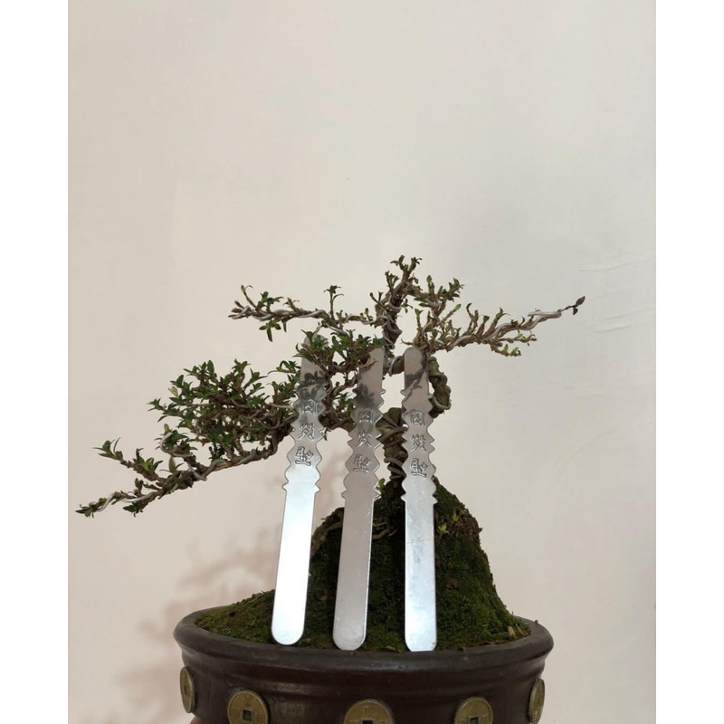 CLEM CUNGKOK  PELENGKAP ACCESSORIES SANGKAR CUNGKOK