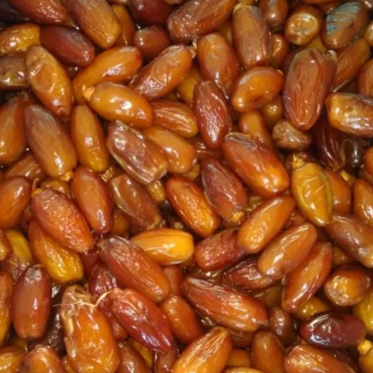 

Terkini Kurma Tunisia Madu Premium 1 Kg