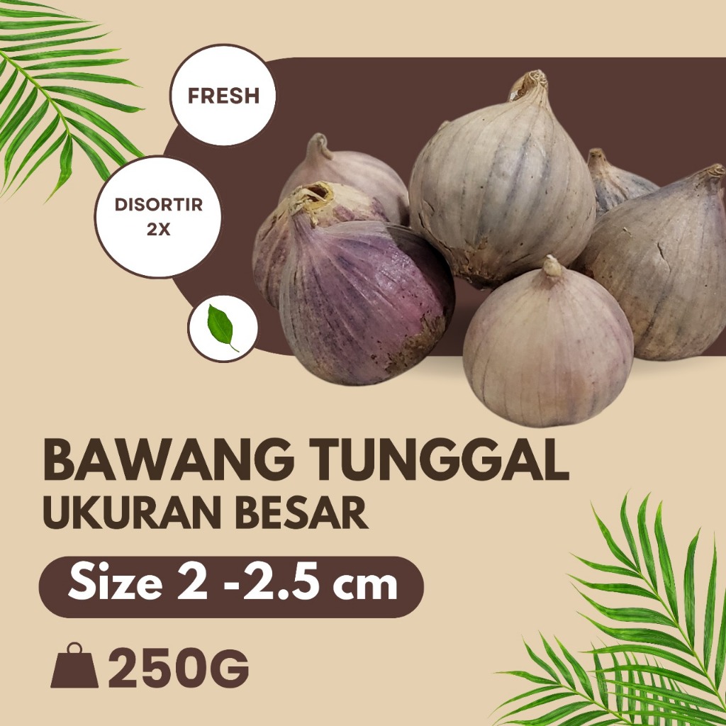 

Bawang Putih Tunggal Lanang Besar 250 G