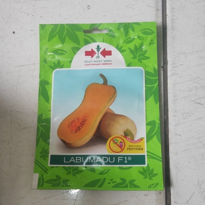 Benih/Bibit Labu madu F1 10 butir