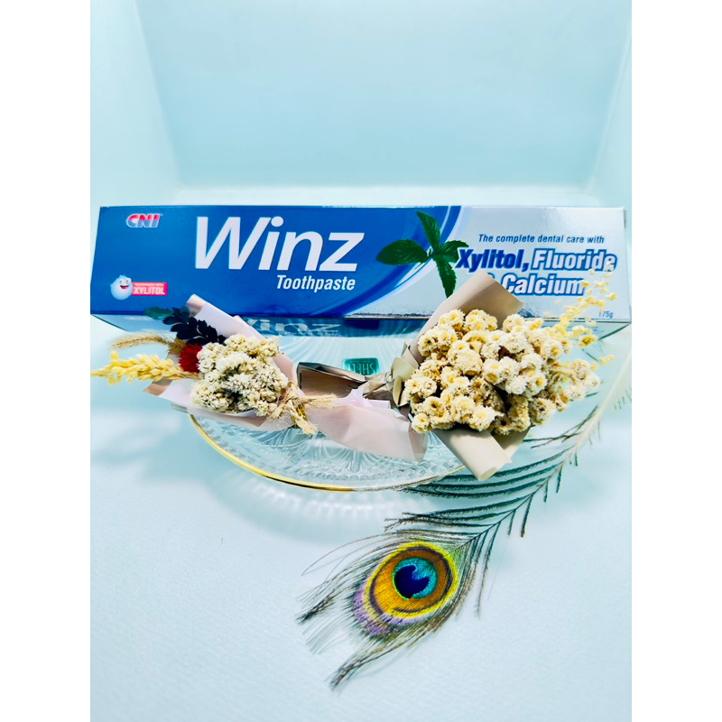 WINZ TOOTHPASTE CNI 175g ODOL WINZ CNI ASLI ORIGINAL
