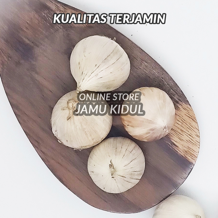 

Bawang Lanang 500gr - Bawang Tunggal Murah Grade A