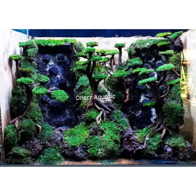 Hardscape air terjun aquascape/Aquascape air terjun