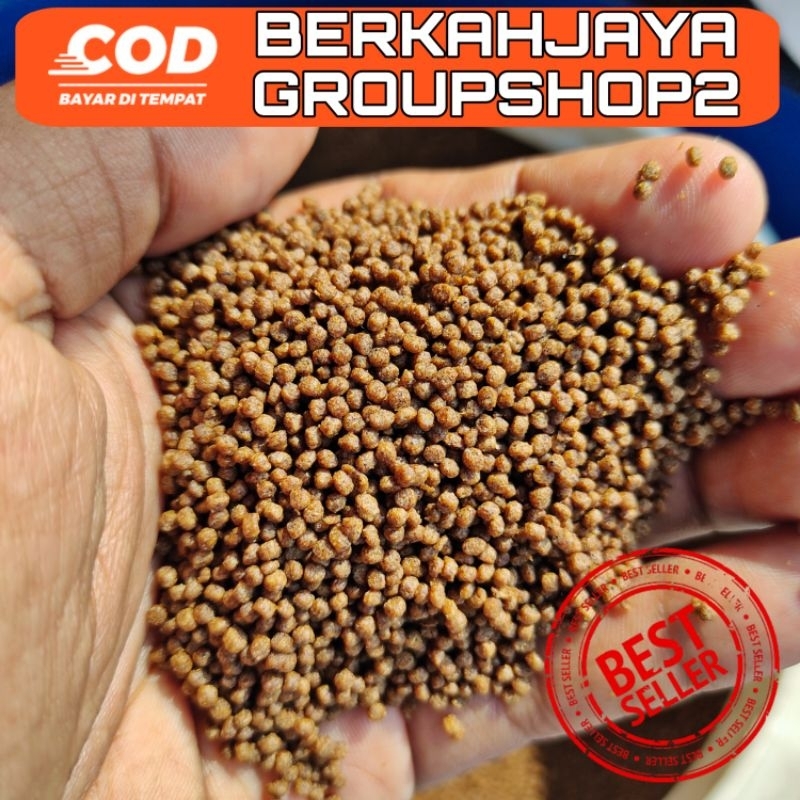 pakan atau pelet ikan lele nila koi mujaer chana protein tinggi