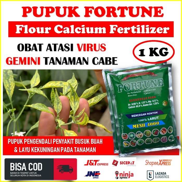 Pupuk Fortune Flour Calcium Fertilizer Pupuk Tepung Mencegah Virus Gemini Pada Cabai - Pupuk Organik