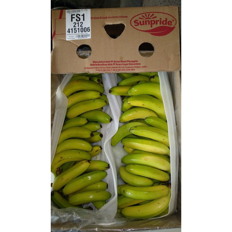 

Pisang_Cavendish_Sunpride