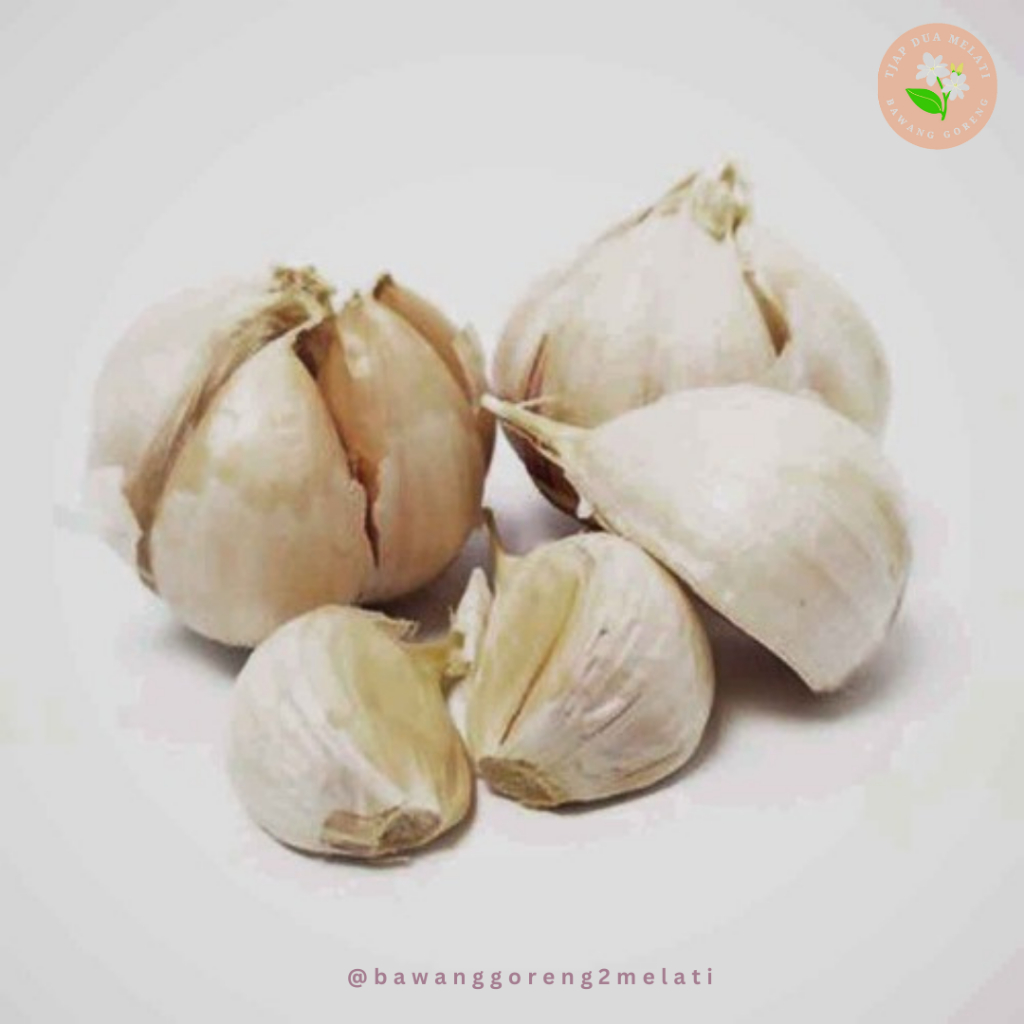 

Bawang Putih, Bawang Kating Kualitas Super