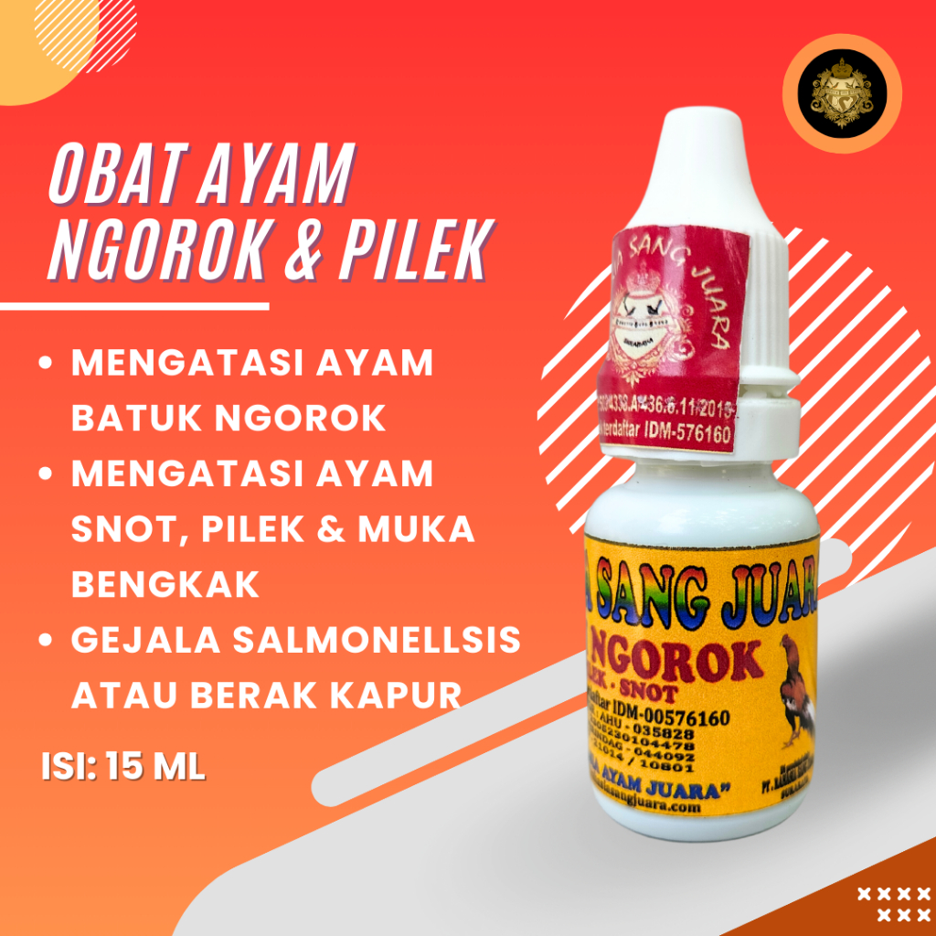 OBAT AYAM NGOROK DAN PILEK OBAT NGOROK AYAM BANGKOK AMPUH MENGATASI AYAM NGOROK DAN PILEK