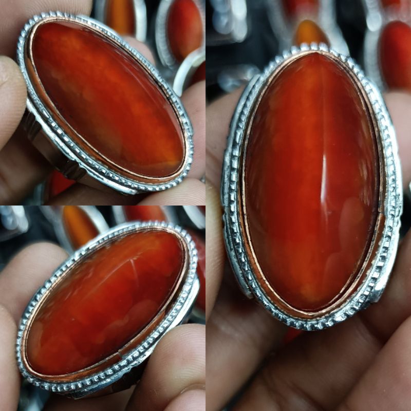 PANDAN MERAH SISIK BETOK