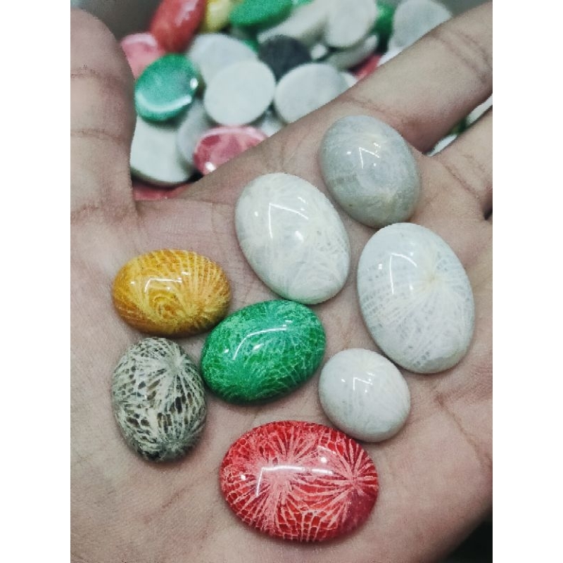 Batu Fosil Teratai Motif Lipan