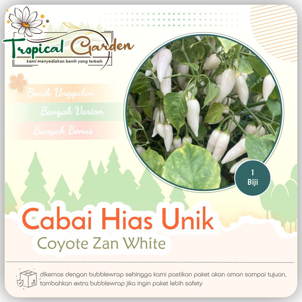 ✿ Tropical Garden ✿ Benih Biji Cabai Coyote Zan White Benih Cabai Hias COD ✅
